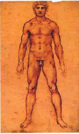 Leonardo's standing man