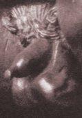 Kneeling satyr's penis