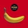 ''Penis Book'' cover