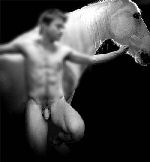 Daniel Radcliffe & horse merged with Carlos' lower half